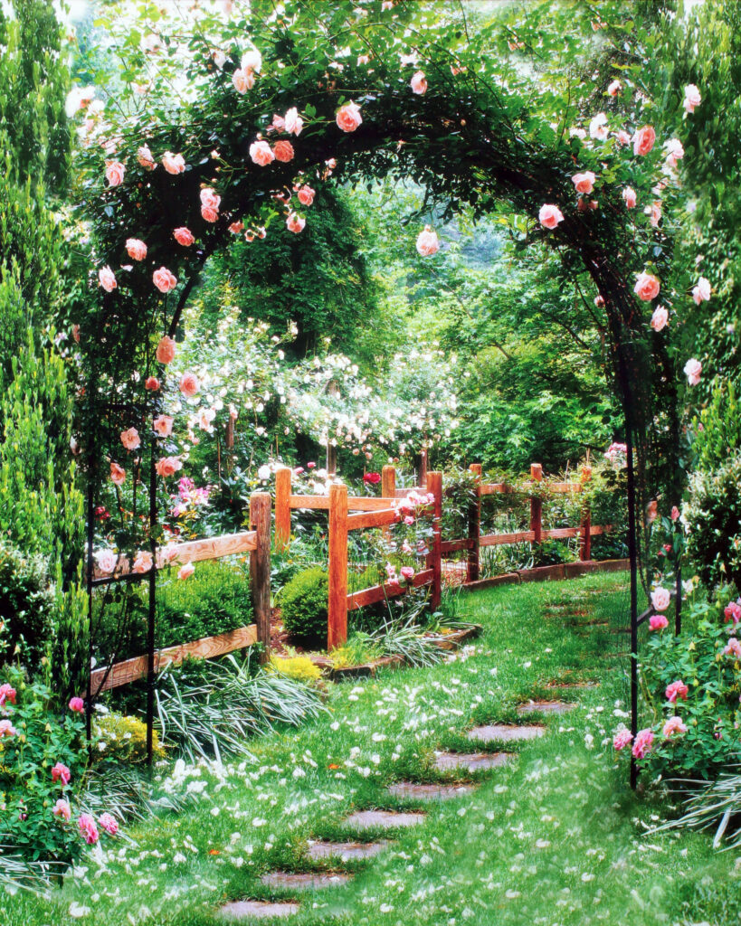 Arch of Spring Roses